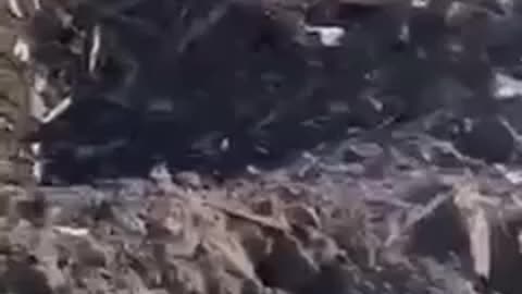 this is a real war Ukraine / Kyiv