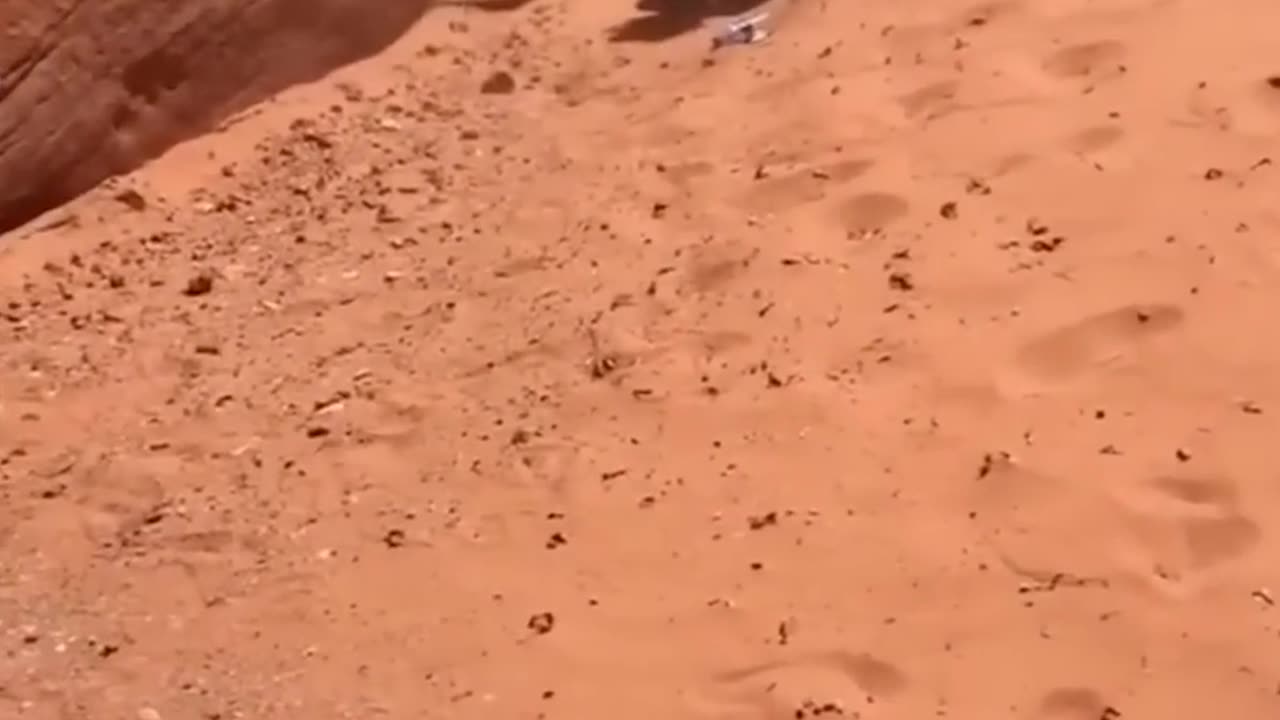 😂😂😂 Funny People Doing Stupid Things / Funny Videos 2023 Compilation