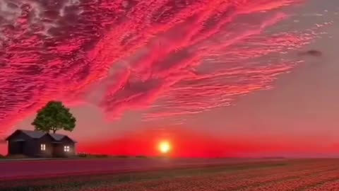 Dream world