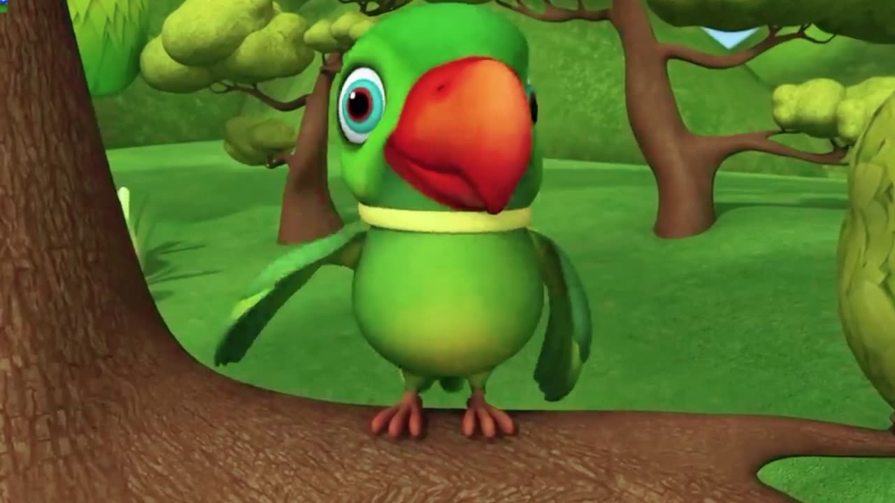 Kids Cartoon / funny cartoon for kids / kids cartoon / birds cartoon