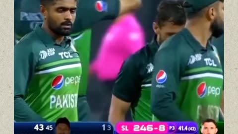 Cricket
