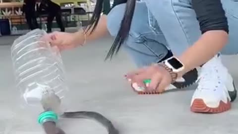 Playing with a Cobra,This is scary