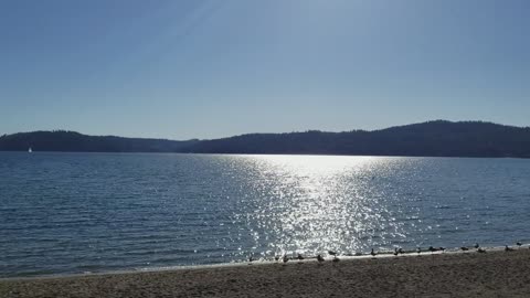 Beach at Coeur d'Alene
