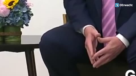 Eine rote Pille für alle Trump-Anhänger