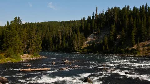 9 Interesting Facts About Yellowstone National Park