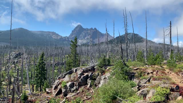 Central Oregon - Mount Jefferson Wilderness - Three Fingered Jack from the Pacific Crest Trail
