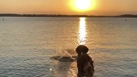 Minny living life to the fullest