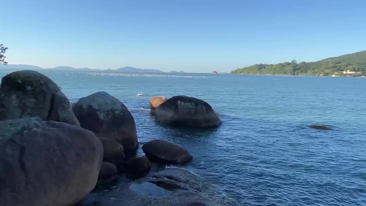 17/21 - Um Pouco de Gov. Celso Ramos - SC (Vídeo Completo no Canal) #shorts #governadorcelsoramos