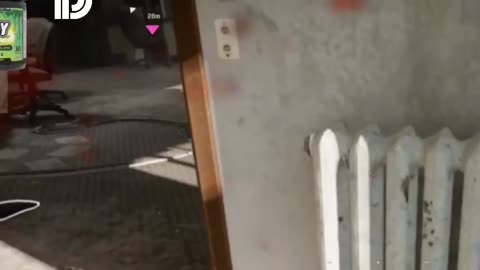 I took him to pound town!