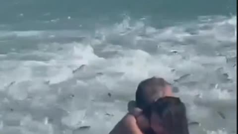 Fish attack