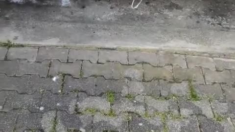 475. A hanyatló nyugat bazd meg🙂