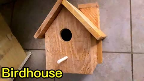 HoMe GrOwN 🤣👍