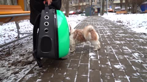 Walking in fresh snow