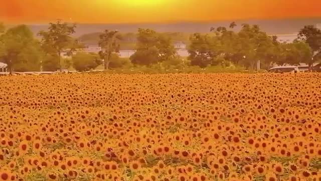 Scenery is very beautiful