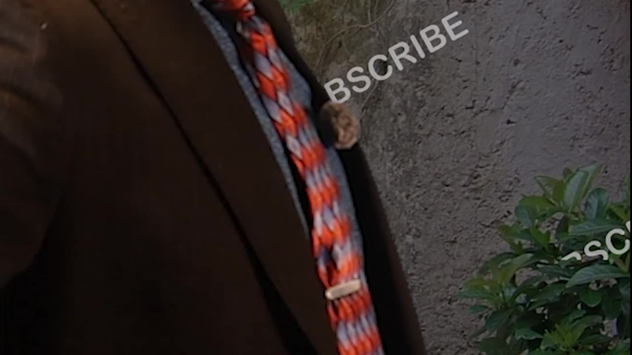 حركات اليد الإيطالية! هذا يعني "أتحداك!"