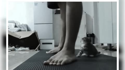 Funny videos # funny moments #funny animals