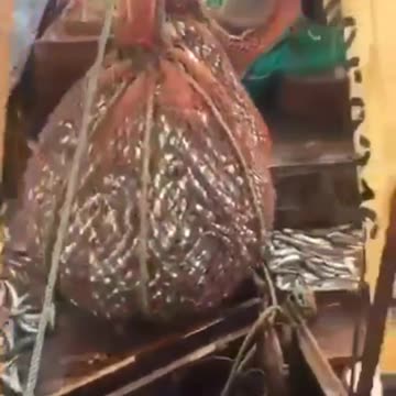 A Sea Lion Suprises Fishing Trawler Crawler Crew...👀