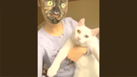 2022😂funniest dogs and cats_