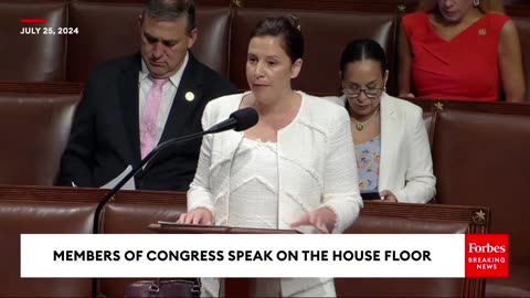 Elise Stefanik Lets Loose On Kamala Harris Over 'Failed Far-Left Open Border Agenda'