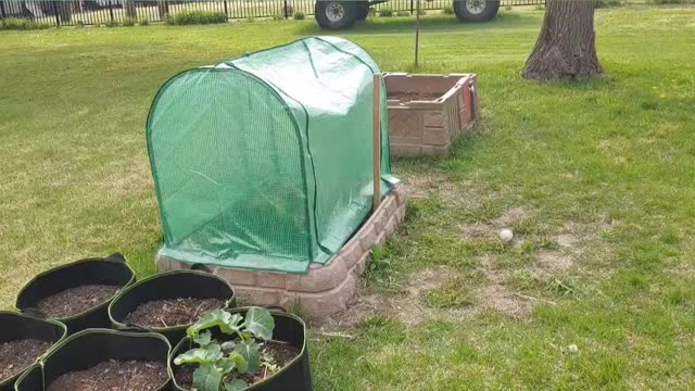 Groundwork Greenhouse Topper