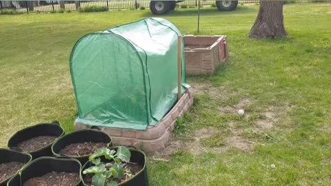 Groundwork Greenhouse Topper