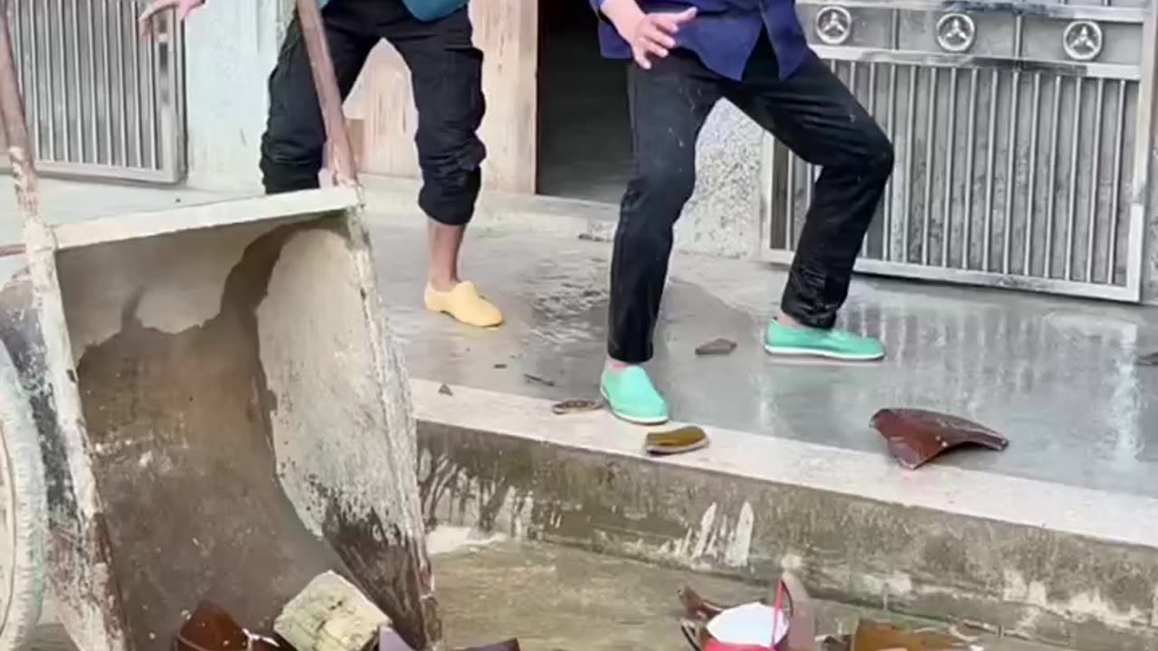 Funny video