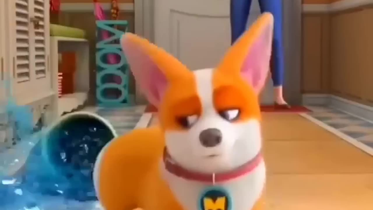 Funny Dog viral trending clip