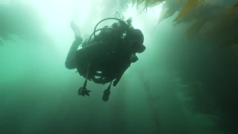 Diving with the Apple Watch Ultra!!