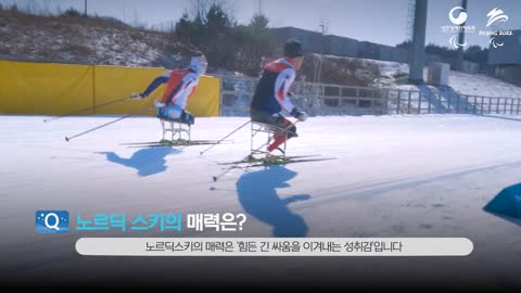 노르딕스키: 다이나믹함의 끝판왕