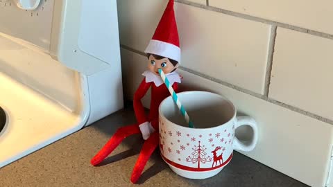 elf on shelf drinking coffee