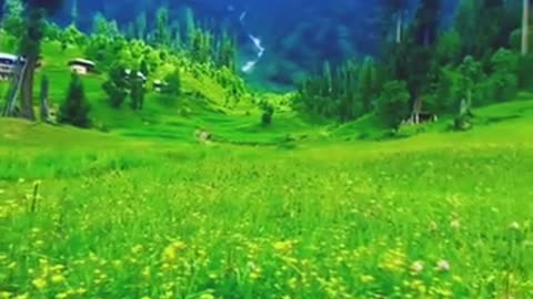 #Kashmir #Pakistan #USA #UK