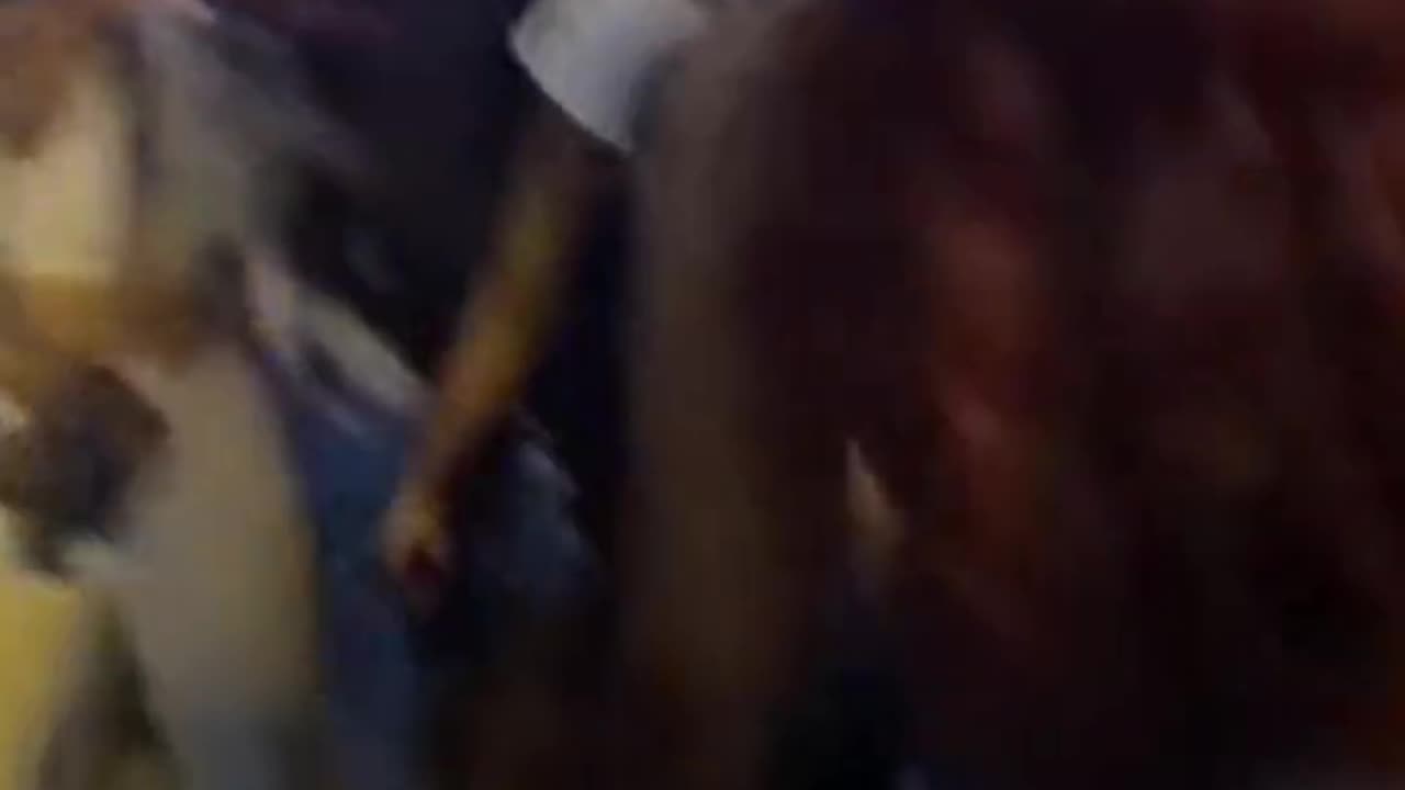 Check out this live view of the chaos happening in #Chicago.