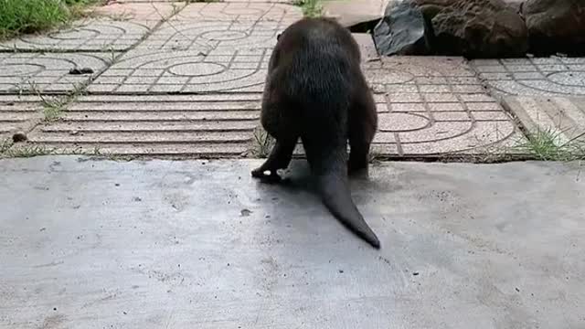 I'm so big I'm scared