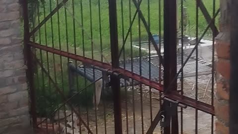 Today weather in Pakistan raining