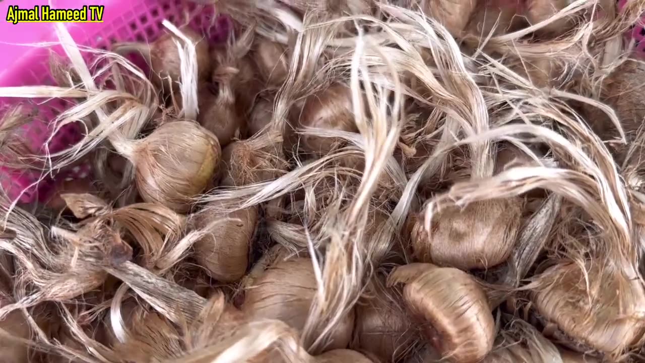 New Unique High Profitable Business With Low Investment in Pakistan