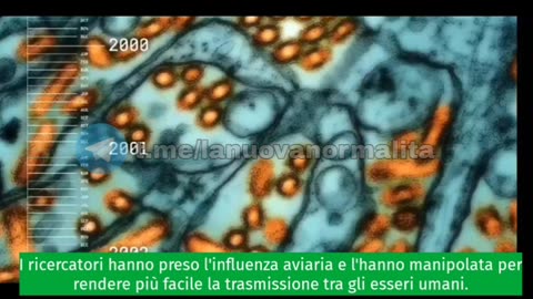 Documentario - Grazie Dr. Fauci 💩