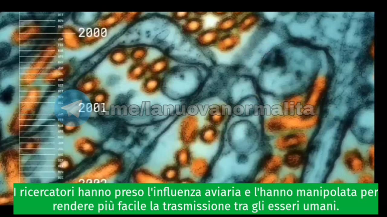 Documentario - Grazie Dr. Fauci 💩