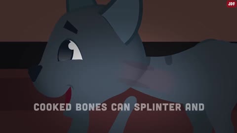 20 MISTAKES to avoid as CAT OWNER