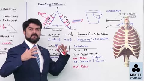 LEC#10 BREATHING MECHANISM