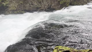 Wild & Roaring McKenzie River – Sahalie Falls & Koosah Falls Loop – Central Oregon – 4K
