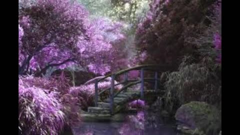 The Most Beautiful Scenery in the World, Breathtaking Nature Scenery (1)