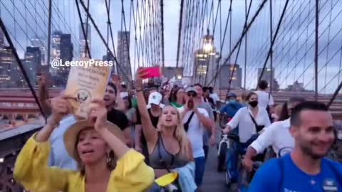 All of New York Agrees: Joe Biden Sucks