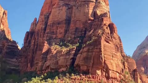 Nature is amazing