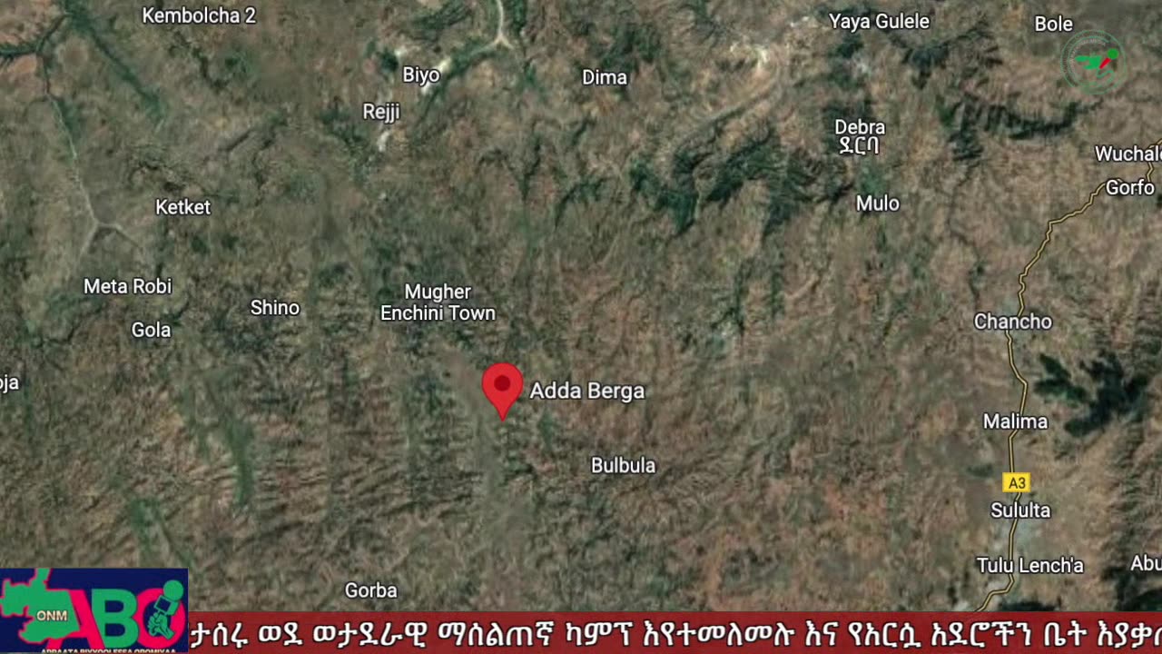 ህዳር 14-2024 ONM-ABO እለታዊ የኦሮሞ ነፃነት ሰራዊትና የኦሮሚያ ውሎ!