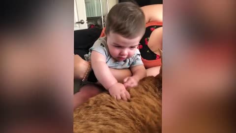 Cute babies Play with Dogs and Cats