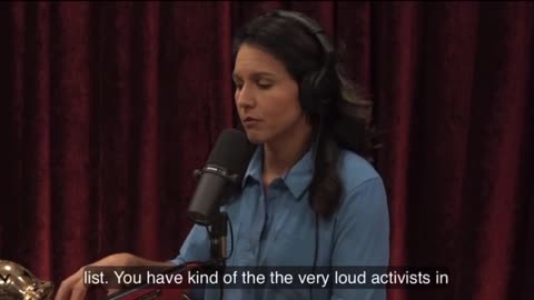 "If You Go Against Them, You're Dead" - Tulsi Gabbard Crushes The Clintons