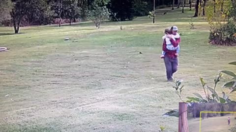 Kangaroo Attacks Toddler