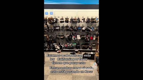 Shoplifters Steal Crazy Things