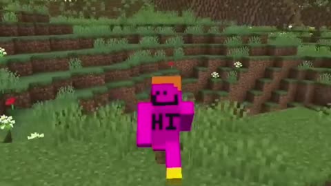 Why Bedrock Is Better Than Java (sometimes) | Minecraft