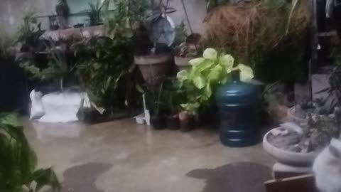 Barish